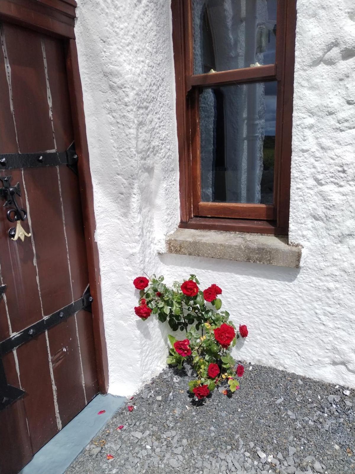 The Burren Art Gallery Built In 1798 Vila Tubber Exterior foto
